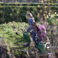 IMG_553784