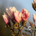 IMG_553789