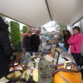 IMG_572446