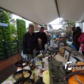 IMG_572447