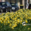 IMG_547495