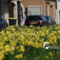 IMG_547496