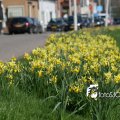 IMG_547501