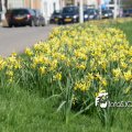 IMG_547502