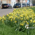 IMG_547503