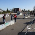 IMG_559781