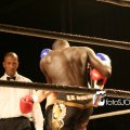 IMG_566415