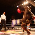 IMG_566434