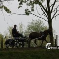 IMG_570408