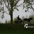 IMG_570419