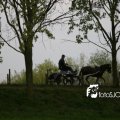 IMG_570420