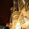 IMG_575161