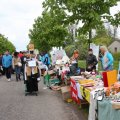 IMG_577194