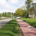 IMG_576909