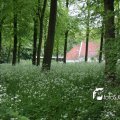 IMG_578038