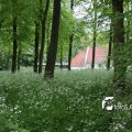 IMG_578039