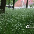 IMG_578040