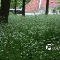 IMG_578041