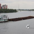 IMG_578204