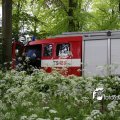 IMG_578631