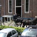 IMG_578743