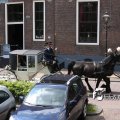 IMG_578746