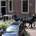 IMG_578747