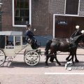 IMG_578750