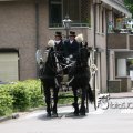 IMG_578752