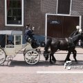IMG_578754