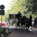 IMG_578770