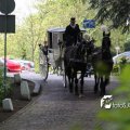 IMG_578774