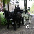 IMG_578793