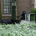 IMG_578795