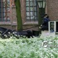IMG_578799