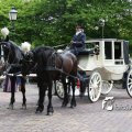 IMG_578846