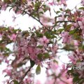 IMG_579040