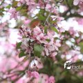 IMG_579042