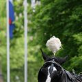 IMG_579078