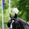 IMG_579080