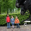 IMG_579151