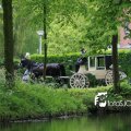 IMG_579437