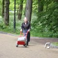 IMG_579464