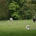 IMG_579522
