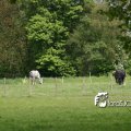 IMG_579523