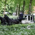 IMG_580075