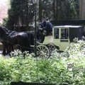 IMG_580112