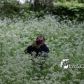 IMG_578976