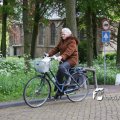 IMG_579395