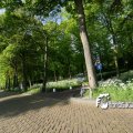 IMG_580603